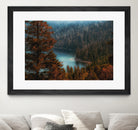 pine tree at Emerald Bay Lake Tahoe California USA by sutee monchitnukul on GIANT ART - red photo manipulation