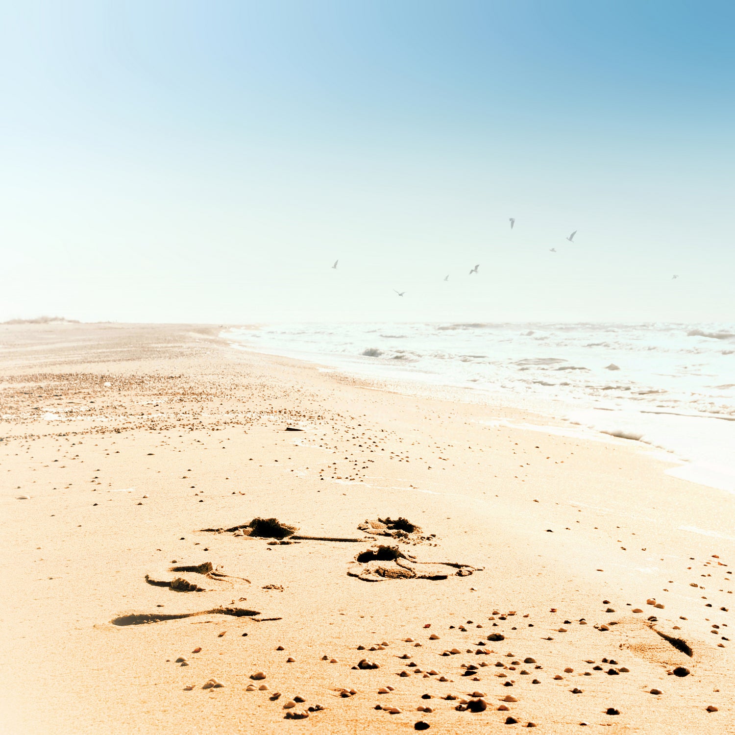 Empty Beach by Dmitry Belousov on GIANT ART - yellow photo illustration