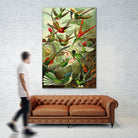 Colibri - Ernst Haeckel by Andrea Almering on GIANT ART - black digital painting