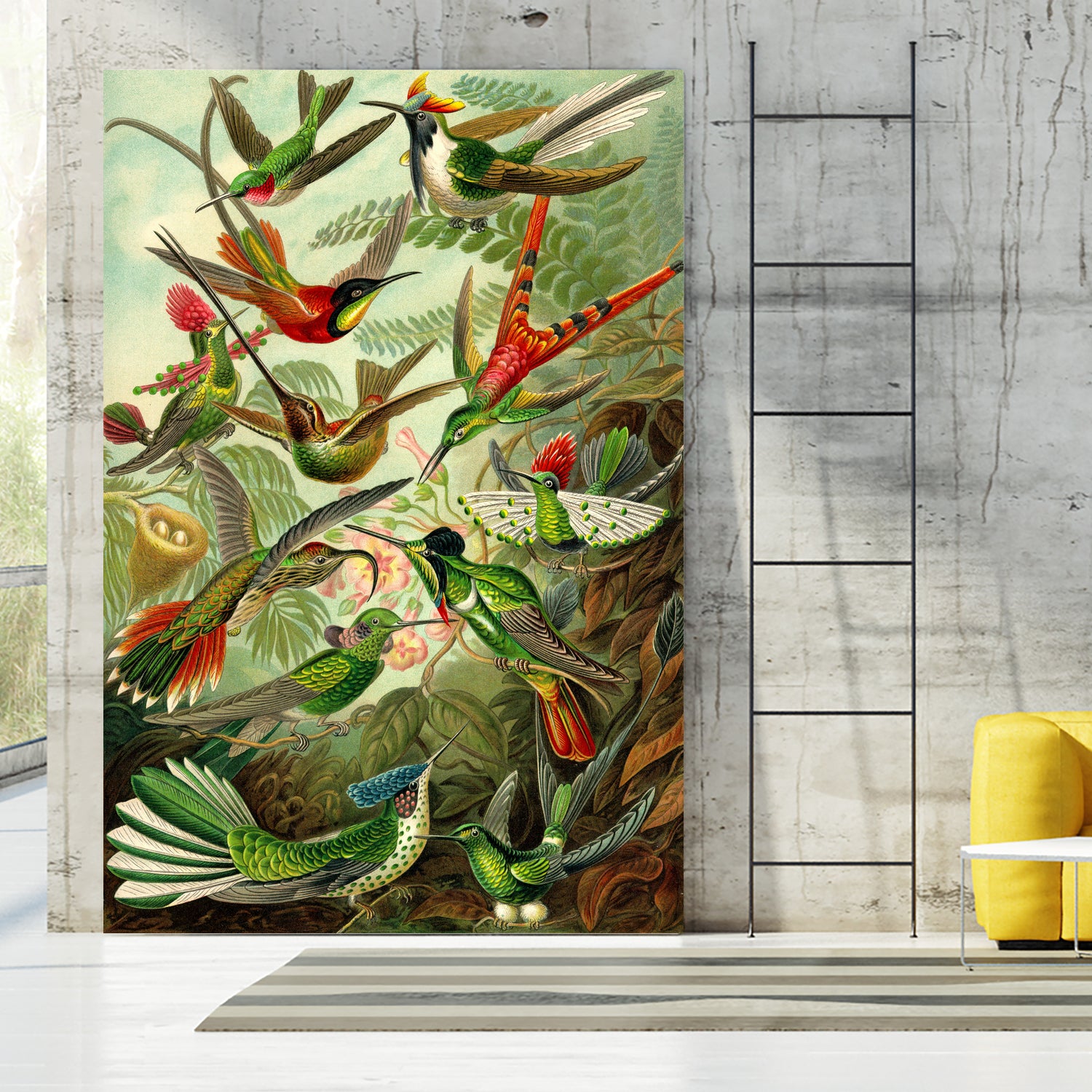 Colibri - Ernst Haeckel by Andrea Almering on GIANT ART - black digital painting