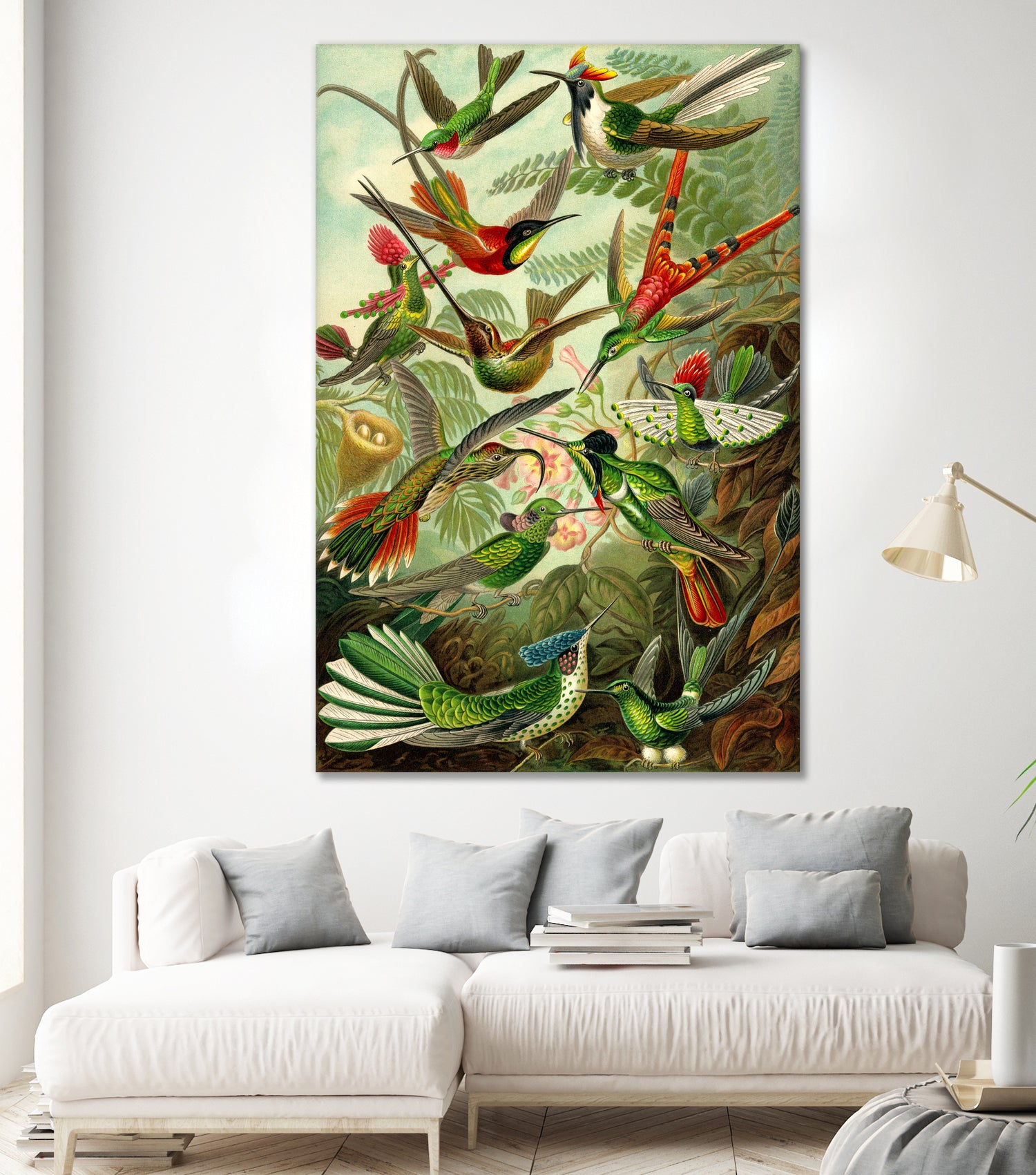 Colibri - Ernst Haeckel by Andrea Almering on GIANT ART - black digital painting