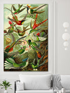 Colibri - Ernst Haeckel by Andrea Almering on GIANT ART - black digital painting