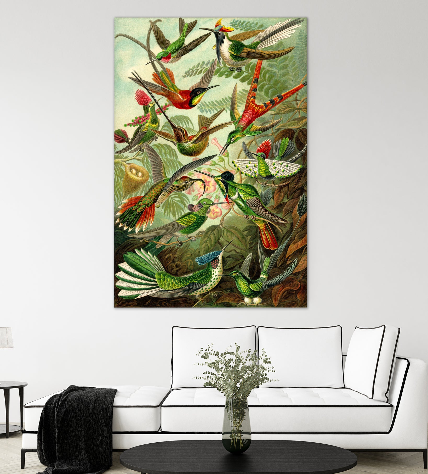 Colibri - Ernst Haeckel by Andrea Almering on GIANT ART - black digital painting