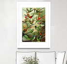 Colibri - Ernst Haeckel by Andrea Almering on GIANT ART - black digital painting