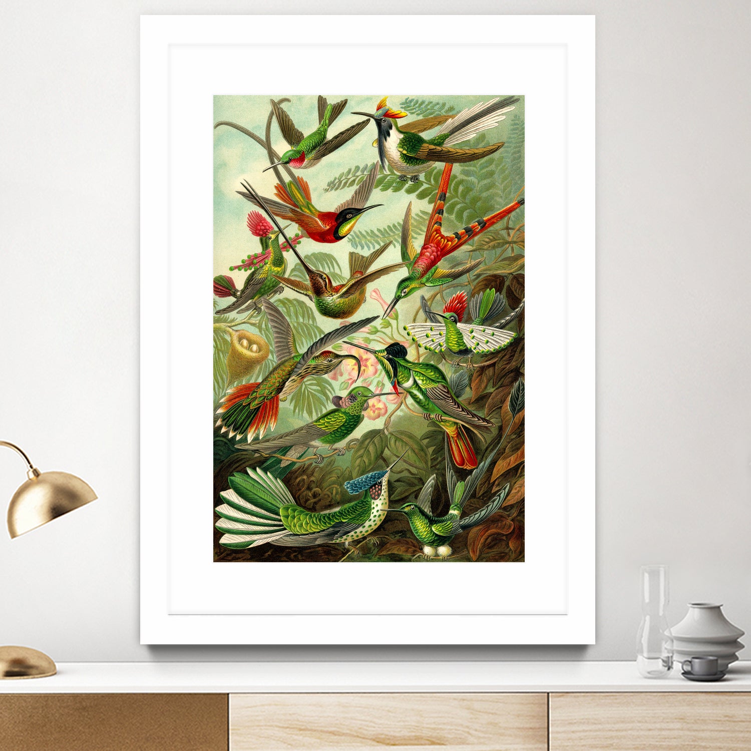 Colibri - Ernst Haeckel by Andrea Almering on GIANT ART - black digital painting