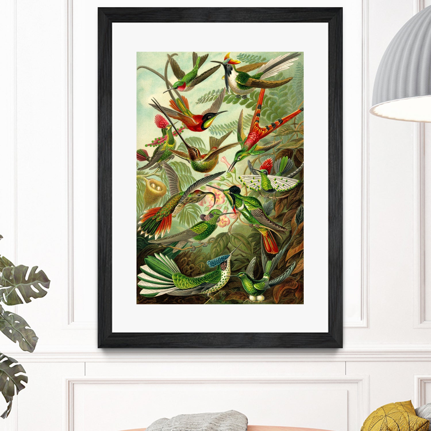 Colibri - Ernst Haeckel by Andrea Almering on GIANT ART - black digital painting