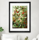 Colibri - Ernst Haeckel by Andrea Almering on GIANT ART - black digital painting