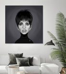 Liza Minnelli by Rob Snow on GIANT ART - gray digital painting