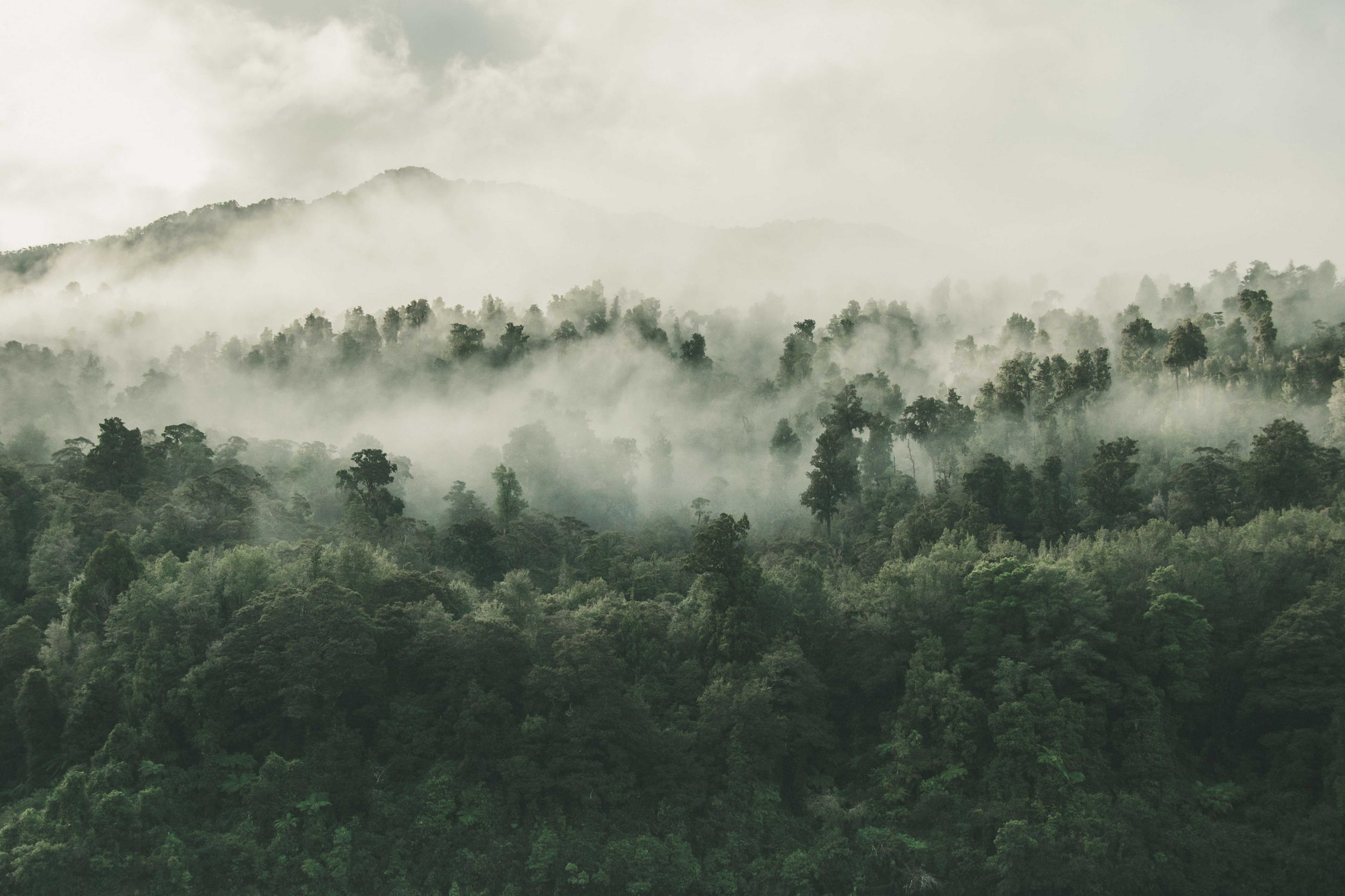 In My Other World, The Heart Of My Heart, Mountain Fog by MOHAMED HOWA on GIANT ART - black digital drawing