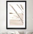 Minimalist coastal beach plants by IOANNA PAPANIKOLAOU on GIANT ART - brown photo illustration