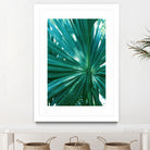 Tropical Fan Palm Finesse #1 #tropical #wall #decor #art by Anita & Bella Jantz on GIANT ART - green photo manipulation