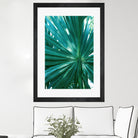 Tropical Fan Palm Finesse #1 #tropical #wall #decor #art by Anita & Bella Jantz on GIANT ART - green photo manipulation