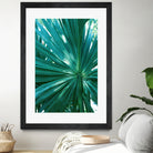 Tropical Fan Palm Finesse #1 #tropical #wall #decor #art by Anita & Bella Jantz on GIANT ART - green photo manipulation