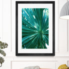 Tropical Fan Palm Finesse #1 #tropical #wall #decor #art by Anita & Bella Jantz on GIANT ART - green photo manipulation