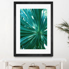 Tropical Fan Palm Finesse #1 #tropical #wall #decor #art by Anita & Bella Jantz on GIANT ART - green photo manipulation