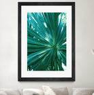 Tropical Fan Palm Finesse #1 #tropical #wall #decor #art by Anita & Bella Jantz on GIANT ART - green photo manipulation