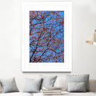 The red leaves in the early spring by Studio OMG on GIANT ART - red photo illustration