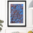 The red leaves in the early spring by Studio OMG on GIANT ART - red photo illustration