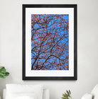 The red leaves in the early spring by Studio OMG on GIANT ART - red photo illustration