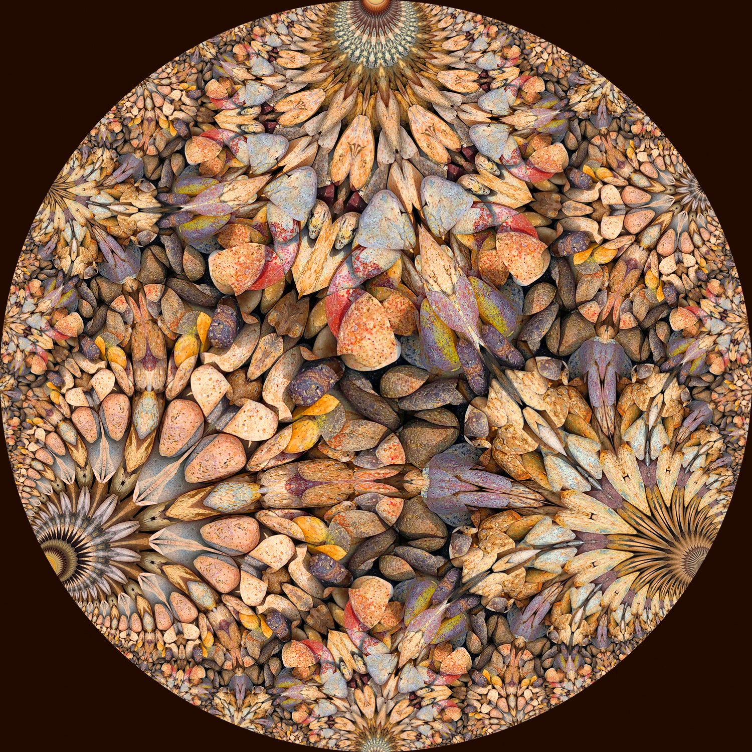 Hyperbolic Pebbles by Digital Crafts on GIANT ART - brown digital painting