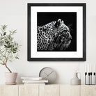 Leopard by Rainbow style on GIANT ART - black 3d art