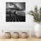 Agro by Dariusz Klimczak on GIANT ART - photo manipulation