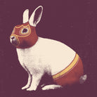 Lapin Catcheur (Rabbit Wrestler) by Florent Bodart on GIANT ART - digital drawing