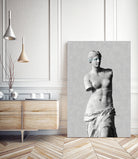 Venus de Milo by Menelaos Trompoukis on GIANT ART - gray digital drawing