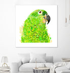 Green Parrot by Reid Harrison on GIANT ART - green digital painting