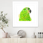 Green Parrot by Reid Harrison on GIANT ART - green digital painting