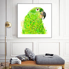 Green Parrot by Reid Harrison on GIANT ART - green digital painting