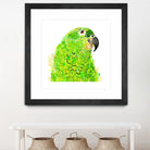 Green Parrot by Reid Harrison on GIANT ART - green digital painting