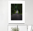 The asphalt road straight into the forest by Studio OMG on GIANT ART - green photo illustration