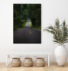 The asphalt road straight into the forest by Studio OMG on GIANT ART - green photo illustration