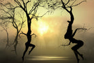 Dancing Trees by Igor Zenin on GIANT ART - black photo manipulation