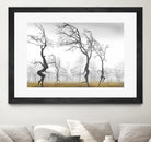 In The Mist by Igor Zenin on GIANT ART - black digital painting