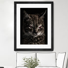 Creepy Kitten Portrait Photo Illustration by Daniel Ferreira-Leites on GIANT ART - black mixed media