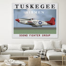 Duchess Arlene Of The Tuskegee Airmen by Matthew Webb on GIANT ART - gray digital drawing