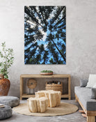 Look Up by Robin Dickinson on GIANT ART - blue photo manipulation