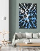 Look Up by Robin Dickinson on GIANT ART - blue photo manipulation