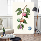 Macaron Plant by Jonas Loose on GIANT ART - green digital drawing