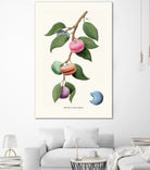 Macaron Plant by Jonas Loose on GIANT ART - green digital drawing