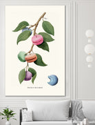 Macaron Plant by Jonas Loose on GIANT ART - green digital drawing