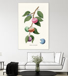 Macaron Plant by Jonas Loose on GIANT ART - green digital drawing