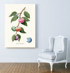 Macaron Plant by Jonas Loose on GIANT ART - green digital drawing