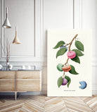 Macaron Plant by Jonas Loose on GIANT ART - green digital drawing