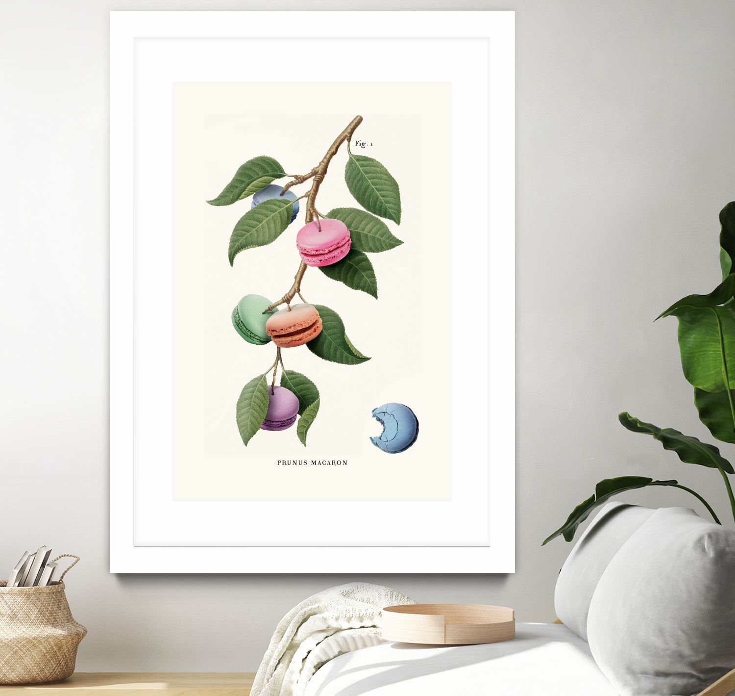 Macaron Plant by Jonas Loose on GIANT ART - green digital drawing