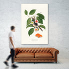 Sushi Plant by Jonas Loose on GIANT ART - green digital drawing