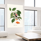 Sushi Plant by Jonas Loose on GIANT ART - green digital drawing