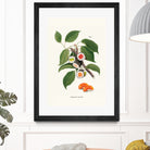 Sushi Plant by Jonas Loose on GIANT ART - green digital drawing